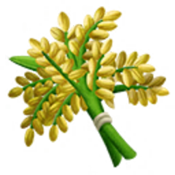 شالیزار